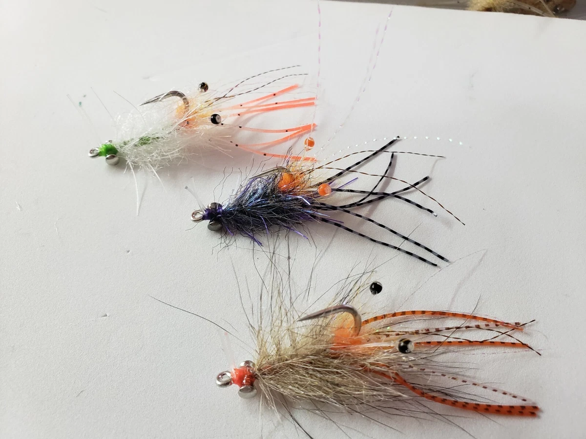 Saltwater Flies Spawning Shrimp 3 Pack .