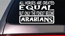 Arabians all horses equal 6