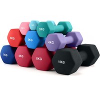 Neoprene Hex Dumbbells Set Of 2 Cast Iron Hexagonal Hand Weights Core Balance