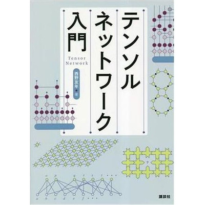 Introduction to tensor networks KS information science specialty book Used 1