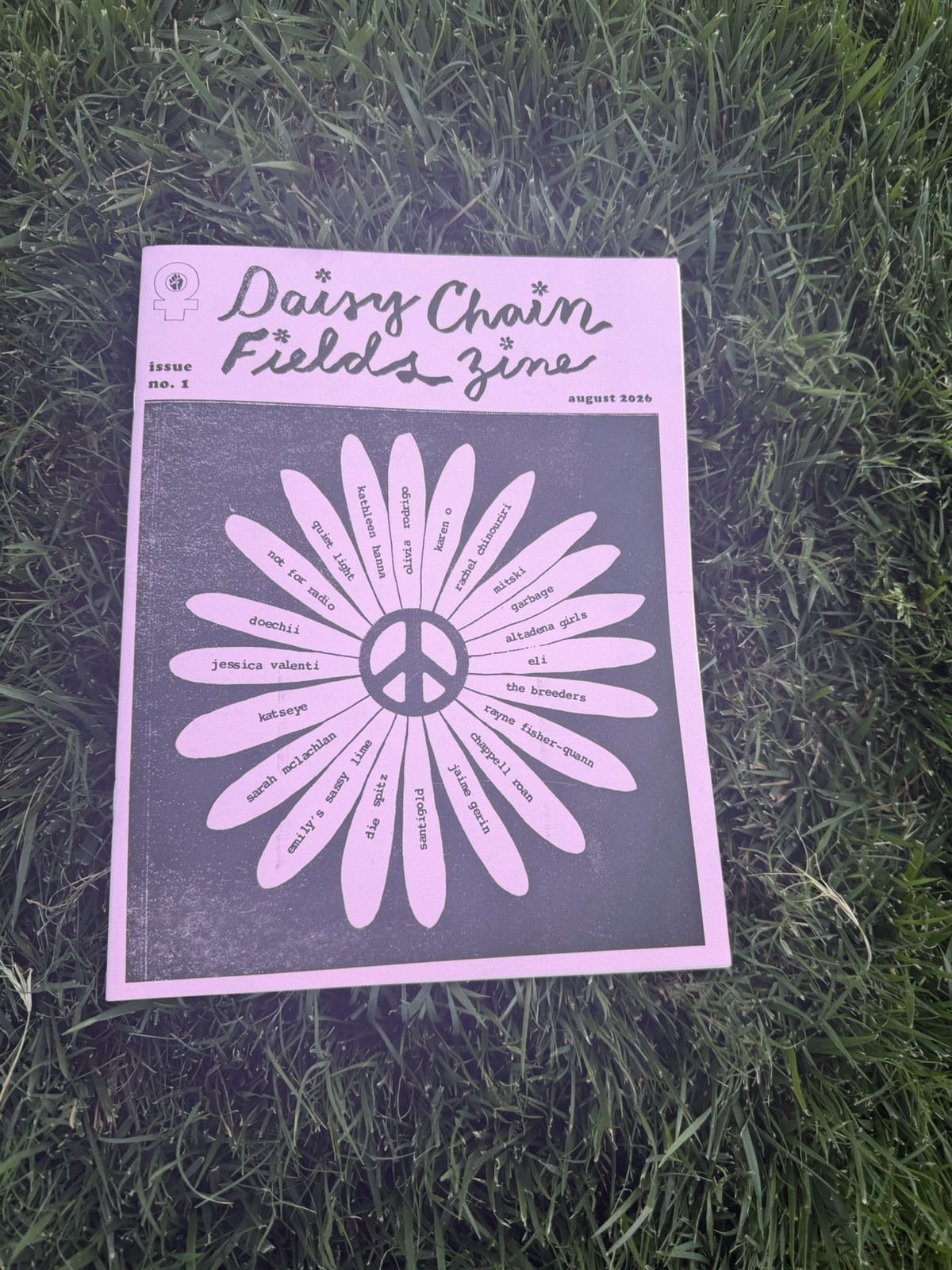 Daisy Chain Fields zine Issue 1 Aug 2026 Music Illustrated English Contributors