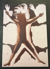art postcard Martha Madigan Vernal Equinox Recent Photograms 2001 Rosenfeld