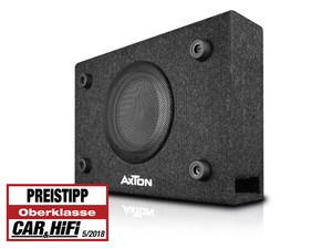 axton subwoofer