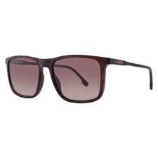 Carrera Brown Gradient Square Unisex Sunglasses CARRERA 231/S 0086/HA 55