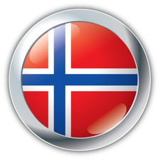Norway Flag Glossy Silver Label Car Bumper Sticker Decal
