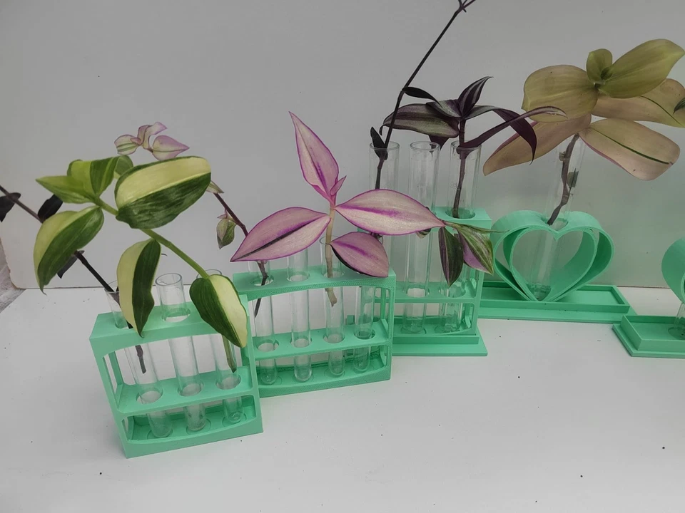 Mint Plant Propagation Stations + Tubes for Rooting Cuttings in different sizes - Image 4 of 4