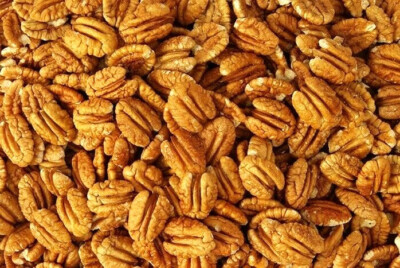 #ad Orchard Fresh Raw Pecan Halves 20 lb or 30 lb Bulk Millican Pecan Texas $389.99