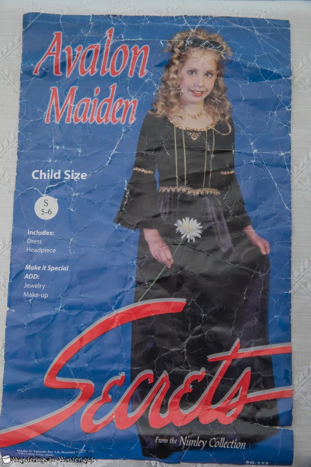 Disfraz de Doncella Avalon Niño Pequeño 5-6 Princesa Renacimiento Medieval Halloween Foto 3 de 3