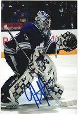 Garret Sparks Autographed 4x6 Color Photo Toronto Maple Leafs Goalie #31