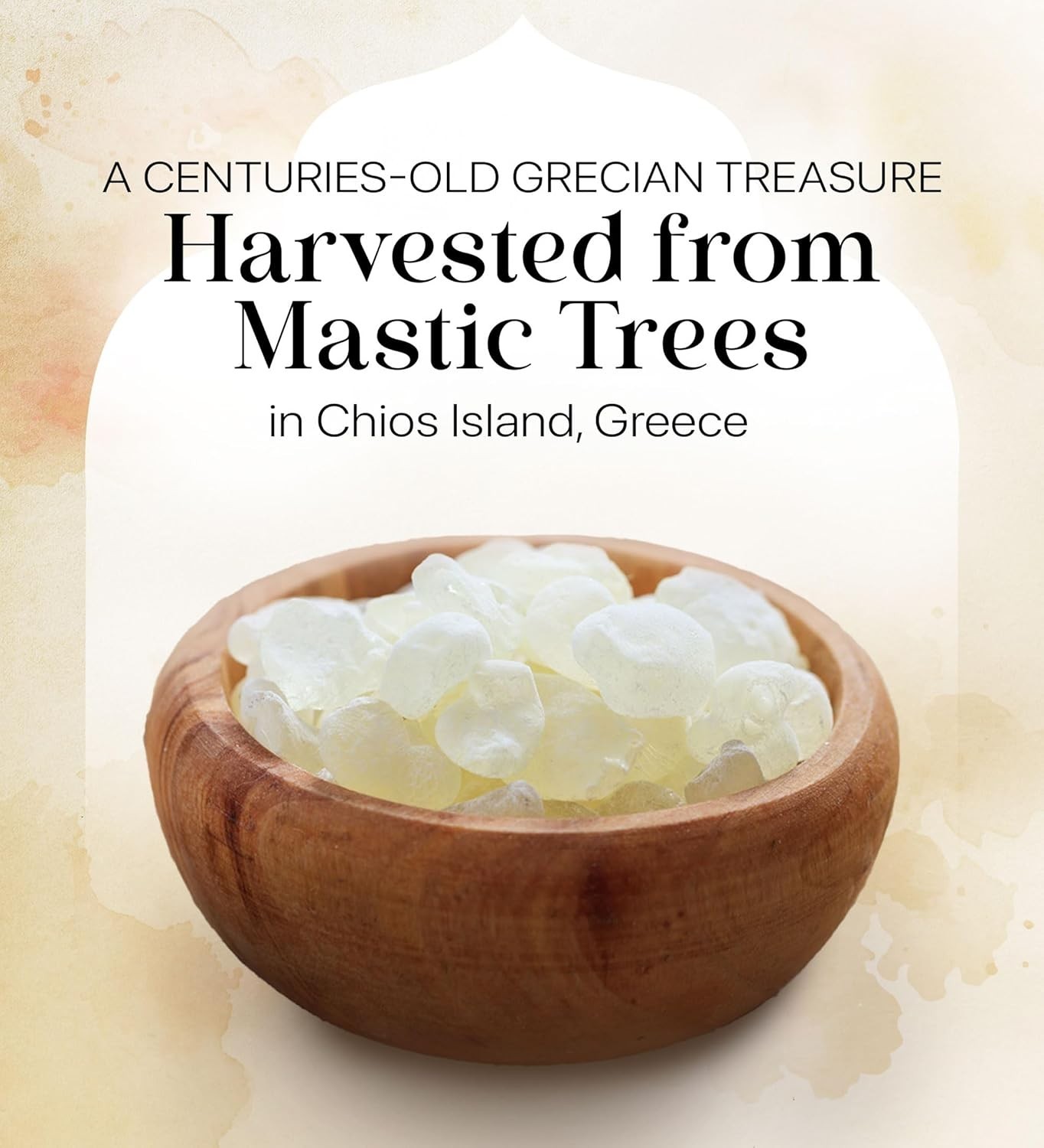 Cerez Pazari Natural Mastic Gum - Greek Mastic Resin, Sugar-Free &  0.88 oz