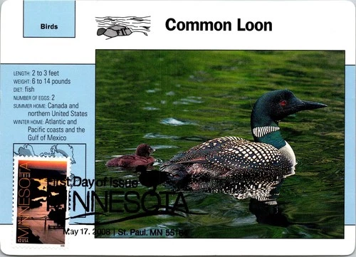 Dr Jim Stamps Maximum Card Minnesota 42C Fdc