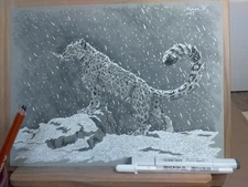 Frigid Air Snow Leopard Charcoal Drawing On Toned Paper
