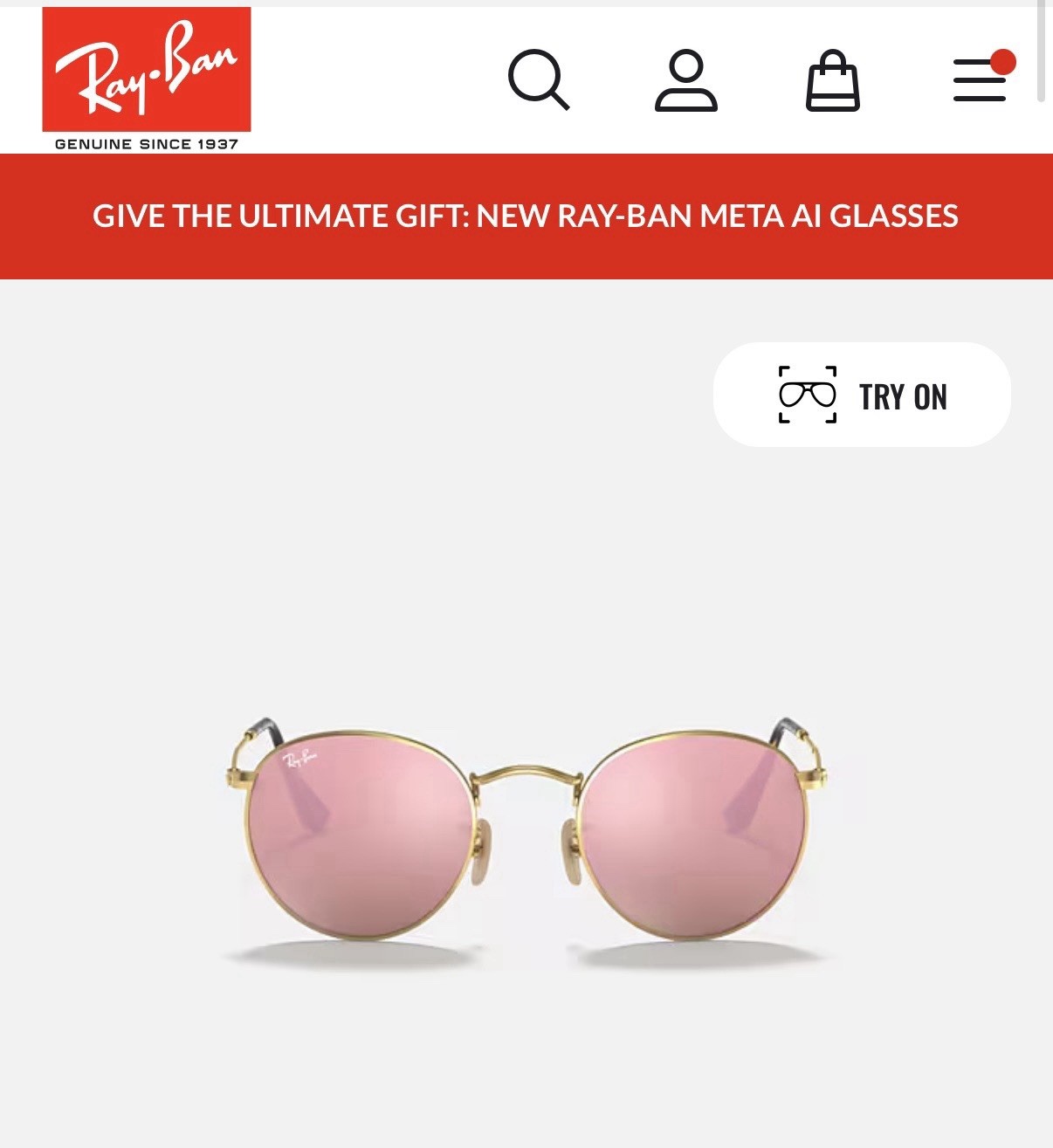 RayBan - image 1