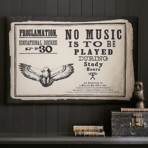 Rare Pottery Barn Teen Harry Potter Proclamation Pinboard Hogwarts Owl Wall Art