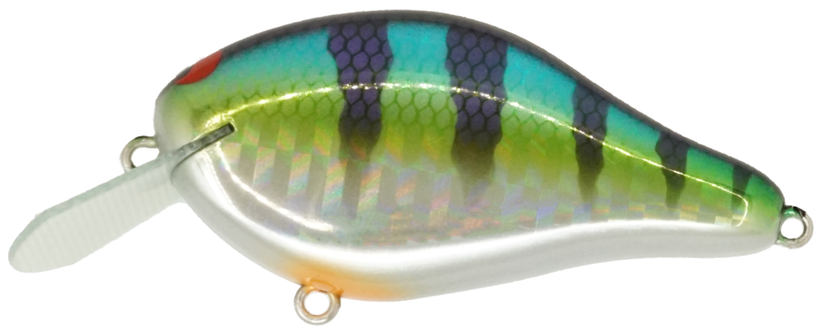 アイマシェイカー IMA SHAKER SELECT COLOR CIRCUIT BOARD LIP SHALLOW RUNNING