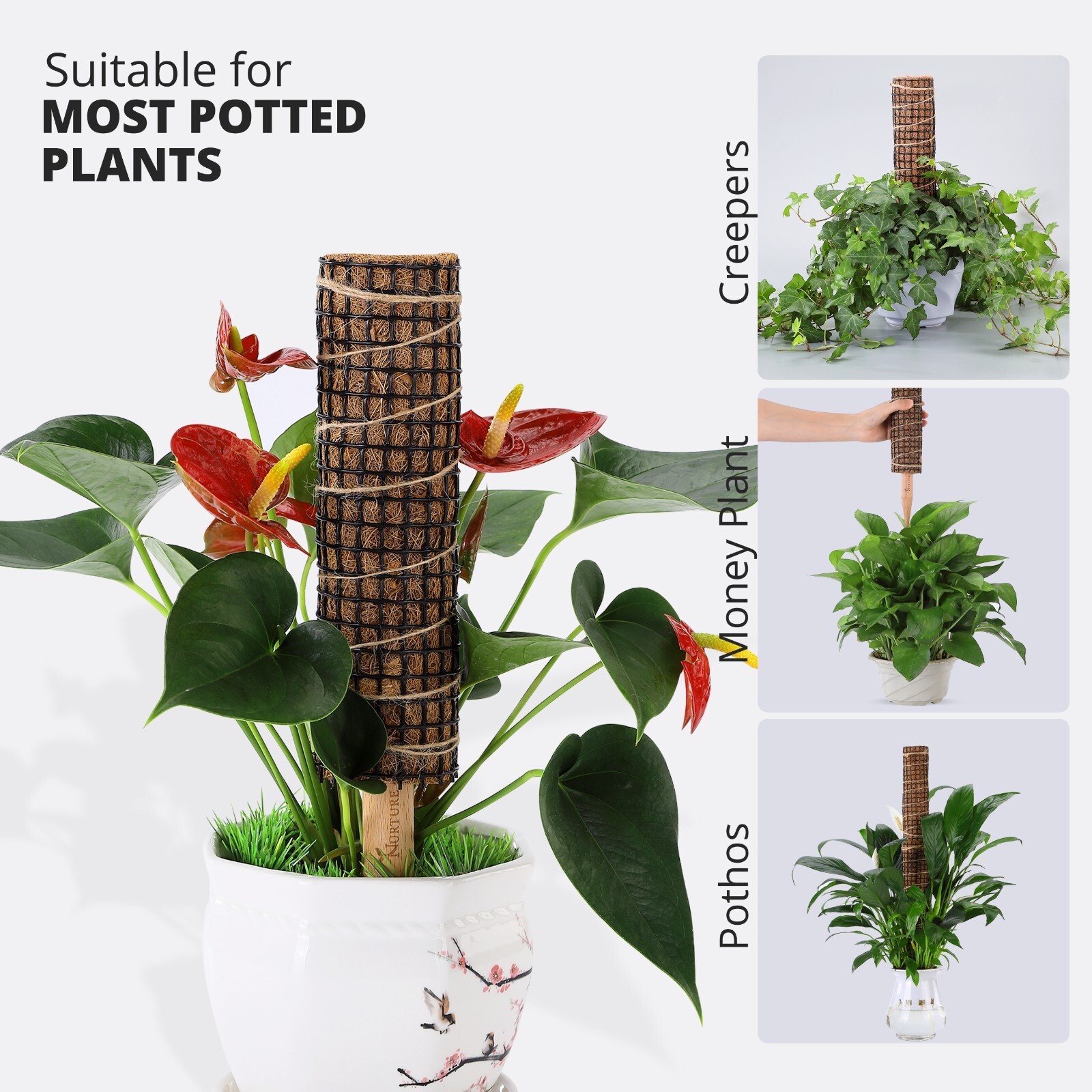 Moss Pole For Plants Moss Stake Indoor Support Climbing Totem Plants
