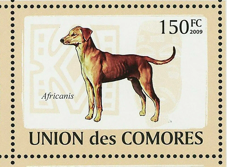 Марка с собаками Aidi Sloughi Boerboel Basenji Azawakh Africanis S/S как новая без наклеек и следов No2135-2140 - Изображение 3 из 4