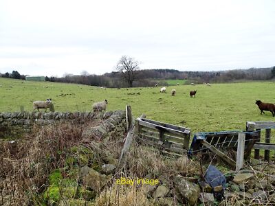 Photo 12x8 Makeshift fence at the roadside Consett Patched up bit of fenci c2022