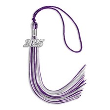Endea Graduation Purple/Silver/White Mixed Color Tassel with Silver Date Drop