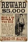 Billy The Kid Tin Metal Signs Wall Art Decor For Living Room Vintage 8x12