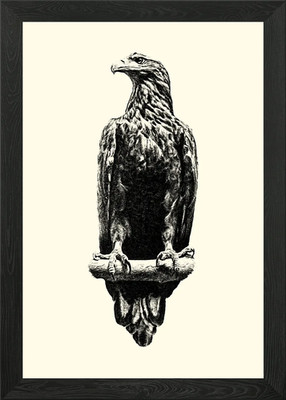 Eagle Pencil Drawing Framed Wall Art Poster Canvas Print Picture