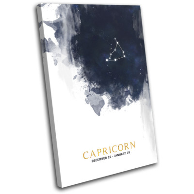Capricorn Zodiac Stars  Starsign SINGLE Leinwand Wand Kunst Bild drucken