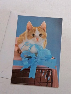 Unused Greeting Card & Env Wrapped Kitty Congratulations New Pet American Greet