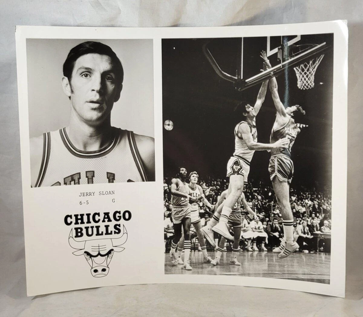 ヴィンテージ プレス フォト 1970年代 NBA ジェリー スローン シカゴ ブルズ チーム発行 - 画像1/2