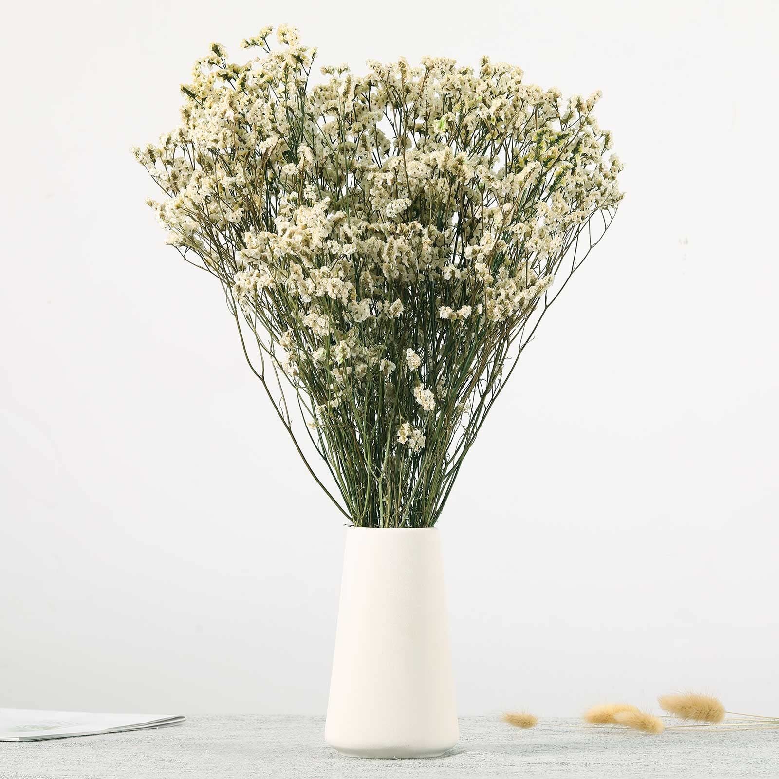 Dried Flowers Babys Breath Bouquet Natural White Dry Flowers – 17'' 1800+ Ivo...-image