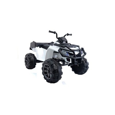 Quad BDM 0909 Weiß 24V 2x45W USB SD MP3 Radio FM LED Quad