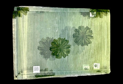 6pc Bodrum Sheer Dahlia Green Floral Placemats Rectangular 14'' x 20'' New