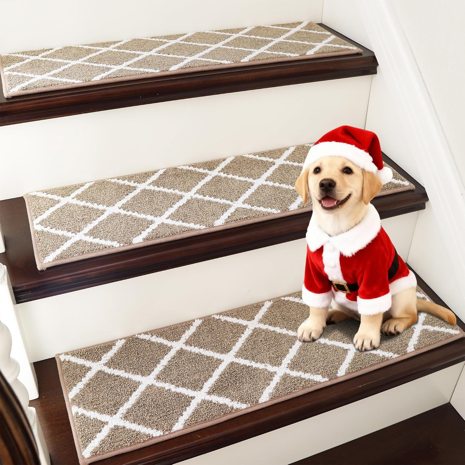 Tappetini Scale Antiscivolo 70x22 cm per Cani e Gatti | Set 15 Pezzi
