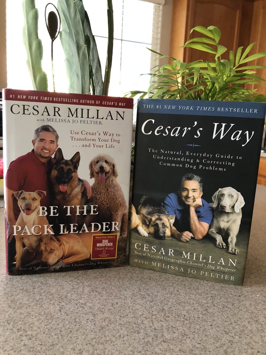 How Do I The Pack Leader Of My Dog