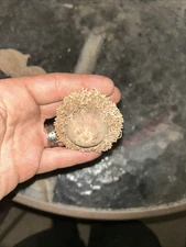 Burr Oak Acorns with Caps Natural Deer Squirrel Food, Art, Planting Material