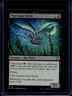 2024 Magic MTG Bloomburrow Starscape Cleric Foil #116