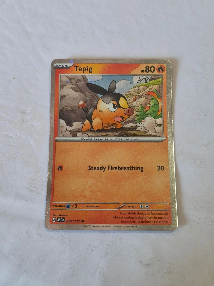 Pokmon Tepig Individual Trading Cards for sale | eBay
