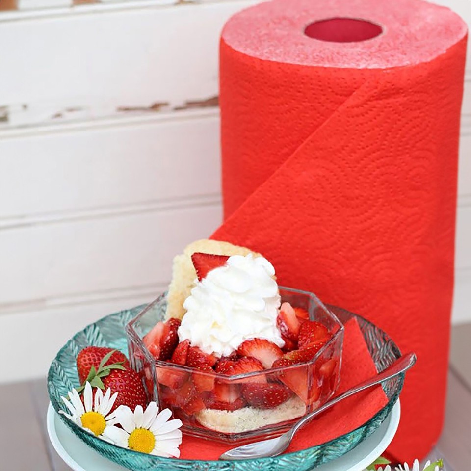 Renova Colored Paper Towels Jumbo Roll, 2 Ply, 120 Highly Absorbent Sheets eBay