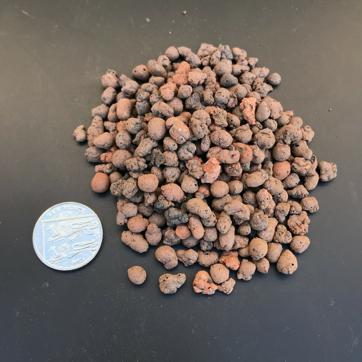 LECA Expanded Clay Pebbles Bonsai Cactus Succulent Soil Hydroponics