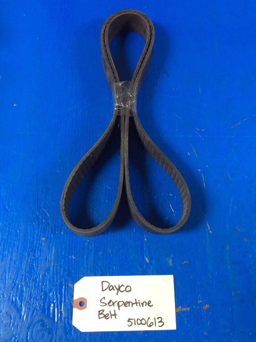 Dayco Serpentine Belt 5100613 | eBay