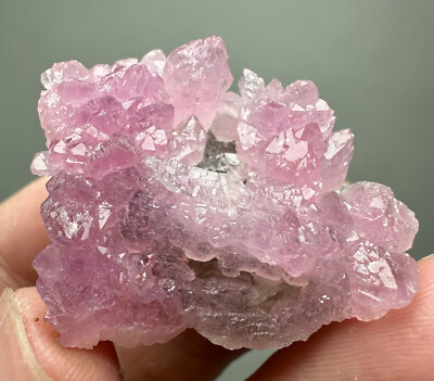 71 Ct. Full Terminated Ultra Rare! Lustrous Rose Quartz Crystals Cluster @Afg