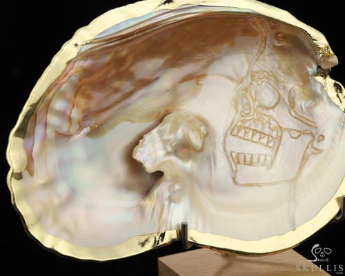 5.7" Shell Hand Carved Crystal Skull Fine Art Sculpture, Crystal Healing - Picture 5 of 7