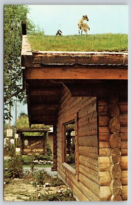 Animal~Goats On Living Roof Of Al Johnsons Swedish Restaraunt WI~Vintage PC