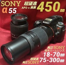 SONY  55 Digital Single-Lens Reflex Camera with Telephoto W Zoom Lens/Working