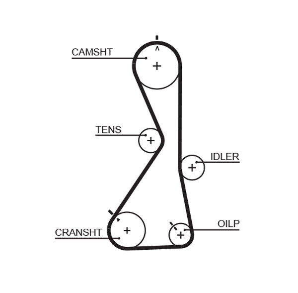 GATES 5481XS Timing Belt for CHERY,GREAT WALL,HAVAL,LANDWIND (JMC),MITSUBISHI,SP