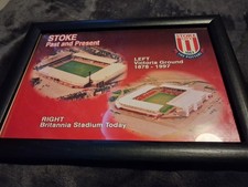 Stoke City Football Club Frsmed Picture