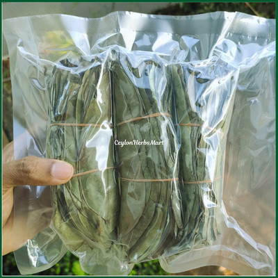 Dried Soursop Leaves Graviola Hojas De Guanabana Leaf 100% Organic Herbal Tea