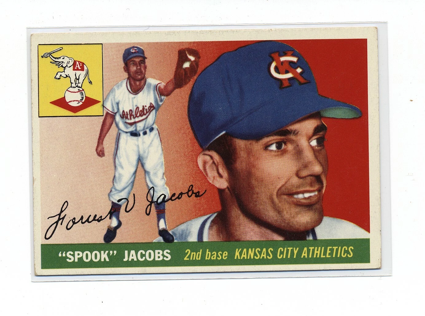 1955 TOPPS BASEBALL NICE COND VG-EX TO EX #61 "SPOOK" JACOBS