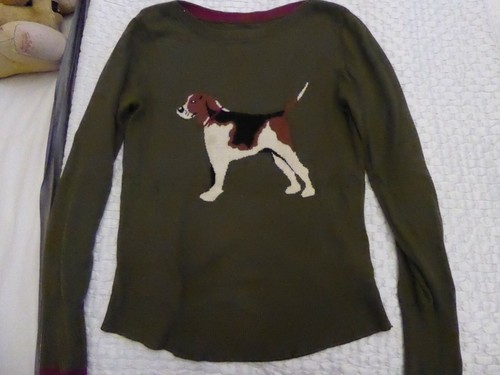 dog jumpers joules