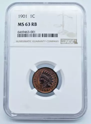 1901 Indian Head Cent NGC MS 63 RB Nice Toning - C2057