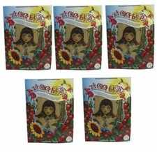 5 Pack oe Mexico La Chica Fresita Air Freshener - Strawberry fresa